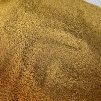 بذر یونجه اصل