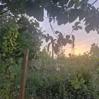 زمین مسکونی ۲۴۲ متر|فروش زمین و ملک کلنگی|رشت, پسیخان|دیوار