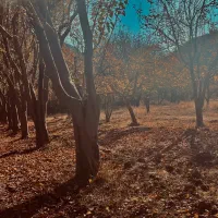 کارگر مزرعه پرورش ماهی و باغ میوه