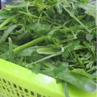 سبزی از شما پاک کردن ازما..کیلویی 10هزار