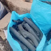 فروش زغال قلم|عمده‌فروشی|تاکستان, |دیوار