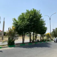 زمین ۱۰۰۰متری سند تک برگ داخل شهرک زعفرانیه سهیلیه|فروش زمین و ملک کلنگی|هشتگرد, شهرک سهیلیه|دیوار