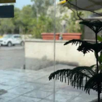 لب تاب دل گمشده