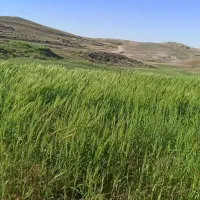 اسنپ میخوام هر روز مسیر رفت و برگشت