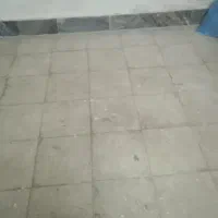 سگ پیداشده