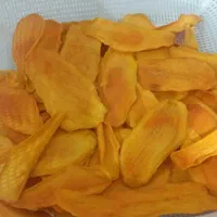 دستگاه خشک کن سبزی و خشک کن میوه|ماشین‌آلات صنعتی|ری, دولت‌آباد|دیوار