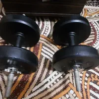 دمبل