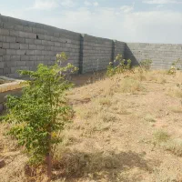 باغ-دیوار-کشی-با-مجوز-دیوار