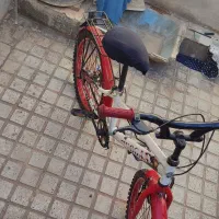 دوچرخه واسه چرخه|دوچرخه، اسکیت، اسکوتر|لوشان, |دیوار