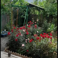 سوئیت ویلا استخر دار کبودوال|اجارهٔ کوتاه‌مدت آپارتمان و سوئیت|علی‌آباد کتول, |دیوار
