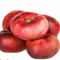 فروش نهال شلیل انجیری|خدمات باغبانی و درختکاری|لردگان, |دیوار