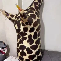 انواع نی. هنبون چرم..|سازهای بادی|امیدیه, |دیوار