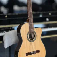 گیتار حرفه ای و مبتدی