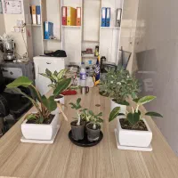 میز مهندسی بزرگ و کتابخانه