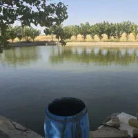 فروش چاه آب ، موتور آب با ۱۶ هکتار زمین کشاورزی