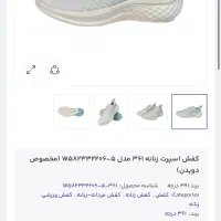 کفش کتانی|کیف، کفش، کمربند|مشهد, وکیل‌آباد|دیوار