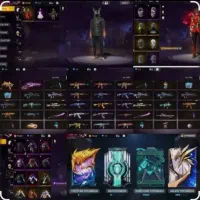 اکانتفریفایرقدیمیقدیمیعالی