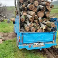 خریدار انواع چوب الات|خدمات باغبانی و درختکاری|گرمی, |دیوار