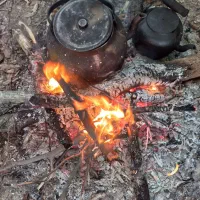 همراه برای رفتن به تور گیلان گردی|تور و چارتر|رشت, منظریه|دیوار