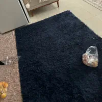 دو عدد فرش شگی