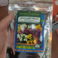 فروش انواع بذر گل به صورت فله مقدار بالا