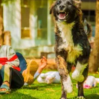 عکاسی در محل دلخواه شما ساعتی یا تعدادی|خدمات پذیرایی، مراسم|کرج, گوهردشت|دیوار