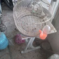 سهره خاکی شیرازی