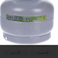 گم شده پیک نیک