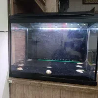 اکواریم هایلا  مدل f60|ماهی|بومهن, |دیوار