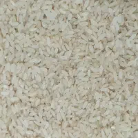 برنج کامفیروزی اصل|خوردنی و آشامیدنی|کر, |دیوار