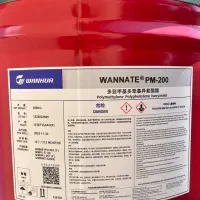 ایزوسیانات PM200 وانهوا