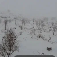 فروش-زمین-باغی-روستای-قز-جنب-سد