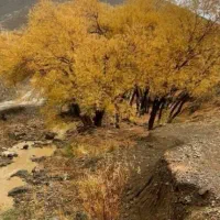 باغچه وردیج ازگیلک ۴۵۰ متر|فروش زمین و ملک کلنگی|کن, |دیوار