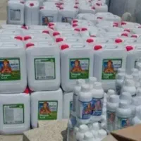 گندم و جو دیم بیجار بذرمال قبل از کشت افزایش محصول