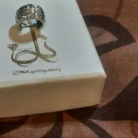 گوشواره گم شده    (طلا سفید)