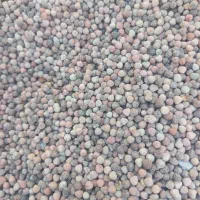 گاودانه|لوازم جانبی حیوانات|ایلام, |دیوار