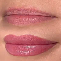 شیدینگ لب بدون درد و ورم و با قیمت استثنائی|خدمات زیبایی و سلامت|کرج, گوهردشت|دیوار
