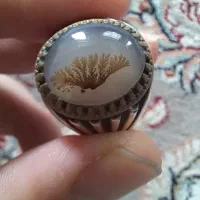 انگشتر شجر کلکسیونی