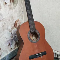 گیتار پارسی m3 اصل چوب گردو + کیف برزنتی|گیتار، بیس، امپلیفایر|تهران, شهرک دانشگاه شریف|دیوار