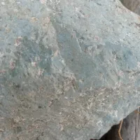 خریدار واقعی پیام بزاره
