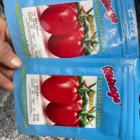 بذر گوجه هیبرید  ملیکا