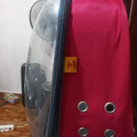 باکس و کوله پشتی فضای حمل گربه و سگ نژاد کوچیک|لوازم جانبی حیوانات|رشت, کوی حسینی|دیوار