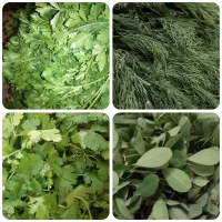 فروش سبزی خورشت تازه و خشک