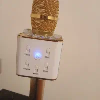 میکروفون اسپیکری|سیستم صوتی خانگی|فردیس, فردیس|دیوار