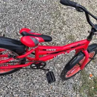 دوچرخه سایز ۲۰ venus قرمز مات|دوچرخه، اسکیت، اسکوتر|تالش, طولارود|دیوار