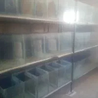 لوارزم آکواریوم