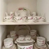 آرکپال پریکس آمریکایی