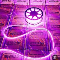 ریسه شلنگی بنفش