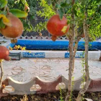 تهـاتر باغچـه دنـج و زیبـا با آپارتمان