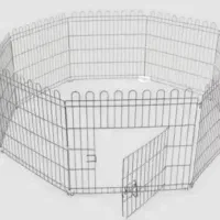 سگ ۳ماه|سگ|پرند, فاز ۴|دیوار